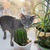 Image-square_50