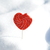 Image-square_50