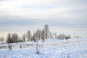 Image-preview_300x200