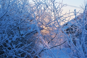 Image-preview_300x200