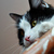 Image-square_50