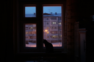 Image-preview_300x200