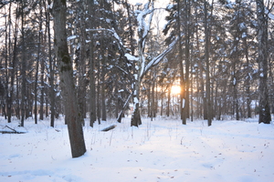 Image-preview_300x200