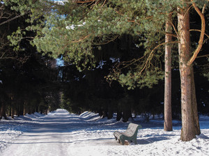 Image-preview_300x200