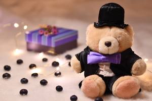 Image-preview_300x200