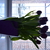 Image-square_50