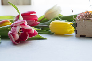 Image-preview_300x200