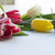 Image-square_50