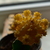 Image-square_50