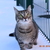 Image-square_50