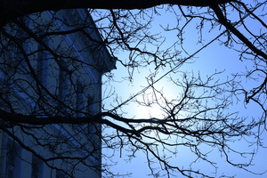Image-preview_300x200