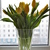Image-square_50