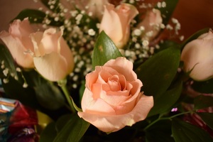 Image-preview_300x200