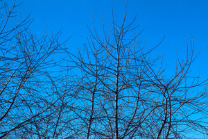 Image-preview_300x200
