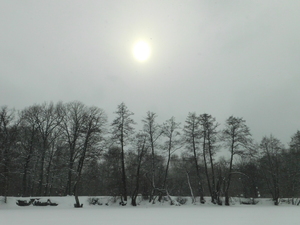 Image-preview_300x200