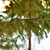 Image-square_50