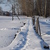Image-square_50