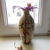 Image-square_50