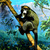 Image-square_50