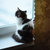 Image-square_50