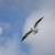 Image-square_50