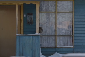 Image-preview_300x200
