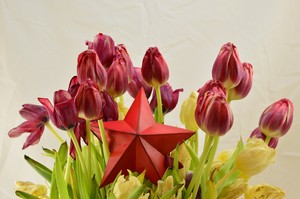 Image-preview_300x200