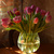 Image-square_50