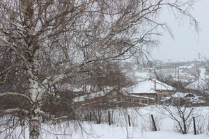 Image-preview_300x200