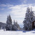 Image-square_50