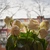 Image-square_50