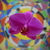Image-square_50