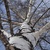Image-square_50
