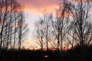 Image-preview_300x200