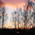 Image-square_50
