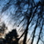 Image-square_50