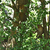 Image-square_50