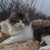 Image-square_50