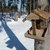 Image-square_50
