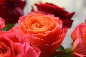 Image-preview_300x200