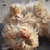 Image-square_50