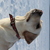 Image-square_50