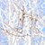 Image-square_50