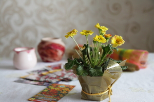 Image-preview_300x200