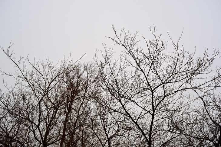 Image-normal