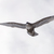 Image-square_50