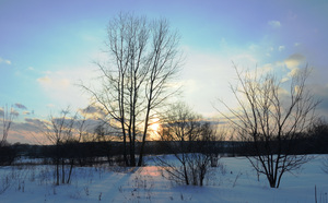 Image-preview_300x200