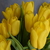 Image-square_50