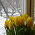 Image-square_50