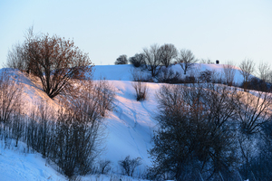 Image-preview_300x200